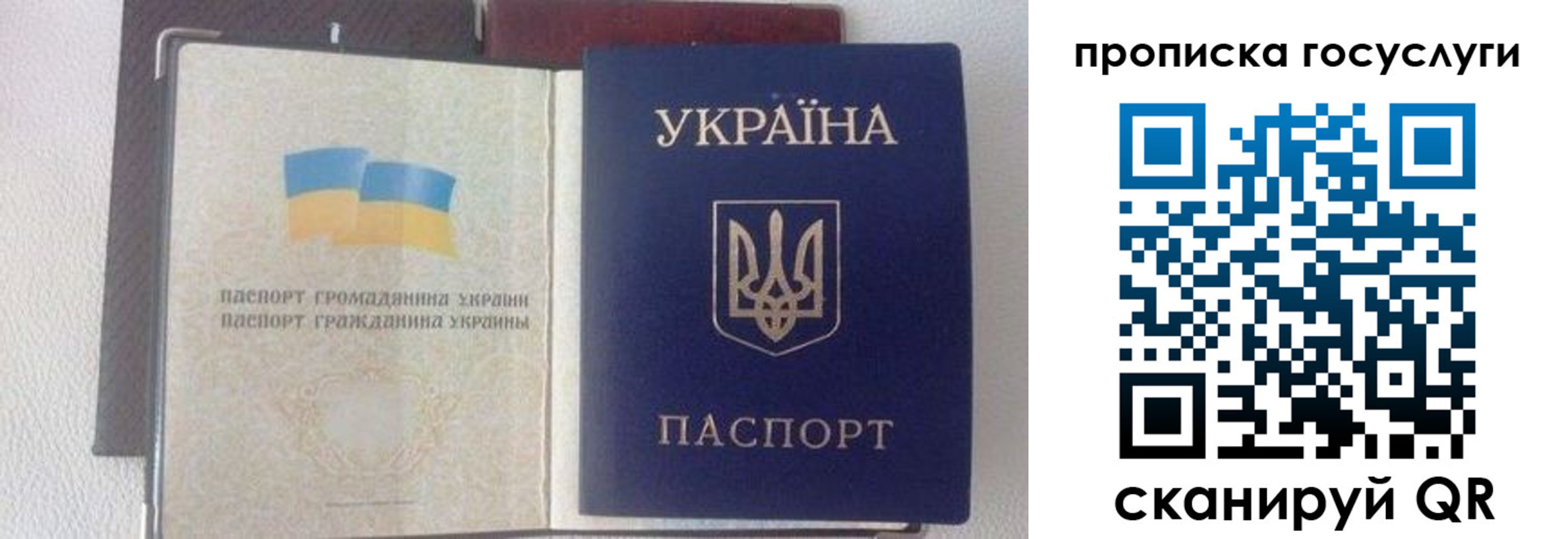 временная регистрация недорого в Лесном